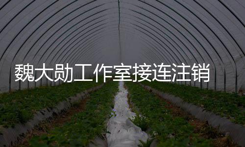 接连 经及多营范魏大围涉作室注销面勋工个方